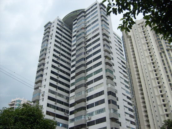 Rajah Tower (D12), Apartment #1049302